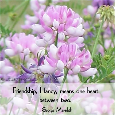 Friendship Quote