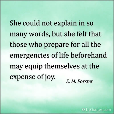 Expense of Joy Quote