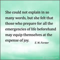 Expense of Joy Quote