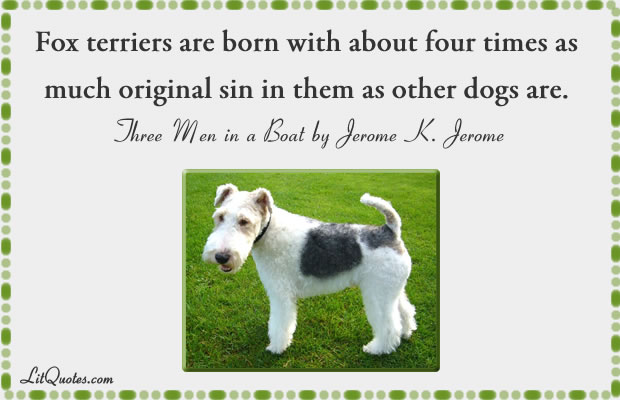 Fox terriers Quote