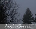 Quotes About Night