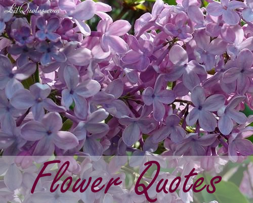 Flowers Quotes