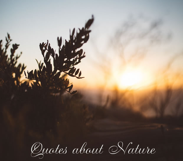 Nature Quotes