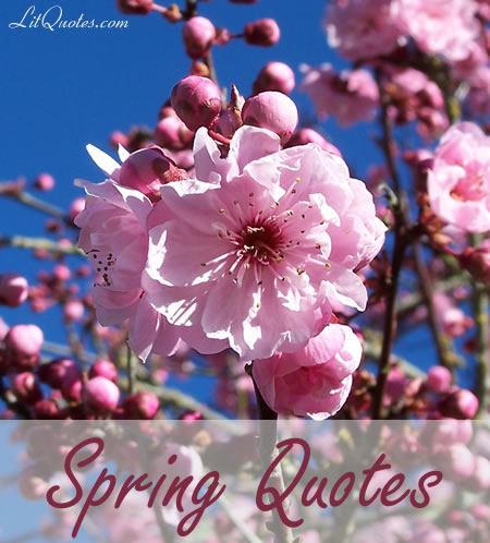 Spring Quotes